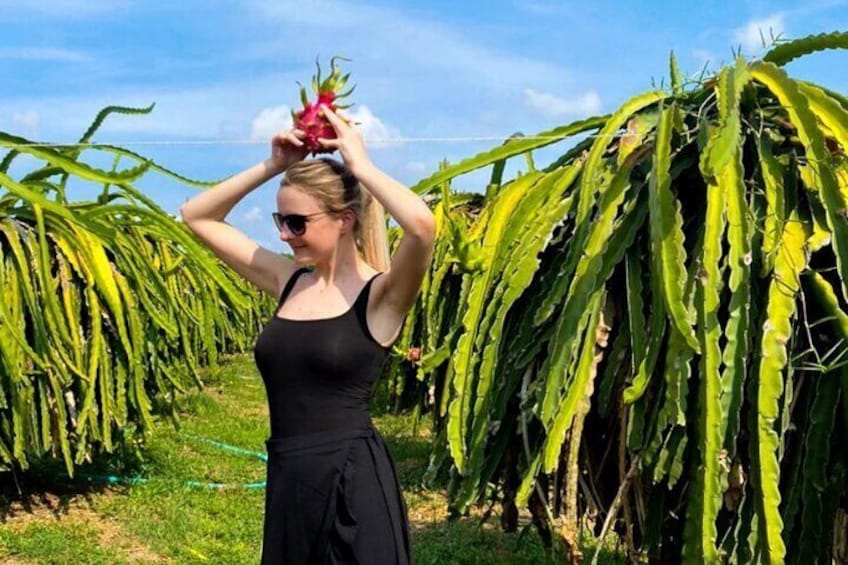 Dragon Fruit Farm