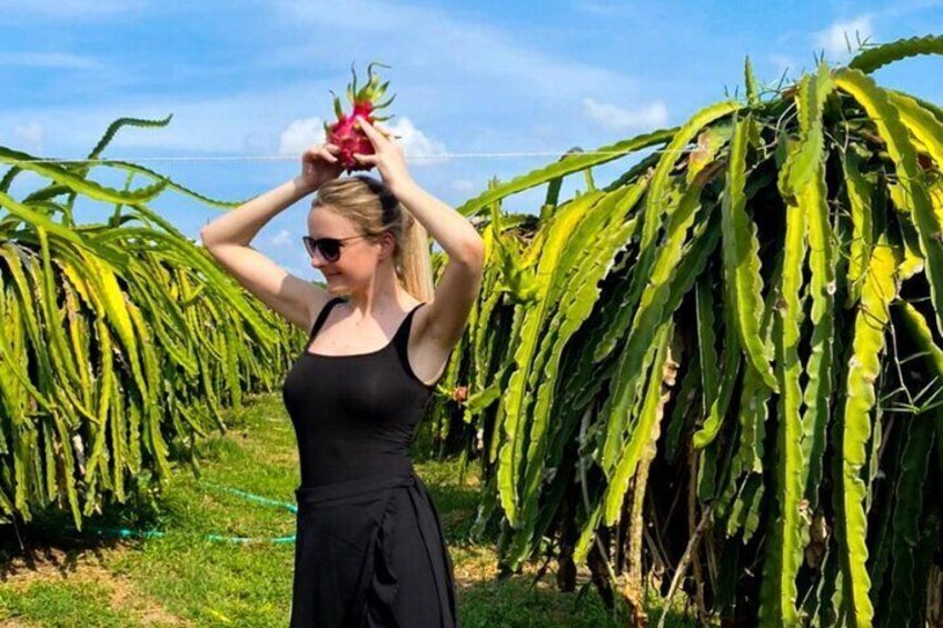 Dragon Fruit Farm