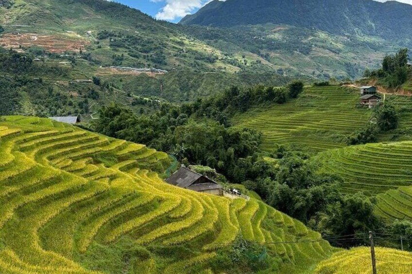 2 Days Mango’s Trekking Adventure Villages and Rice Terraces