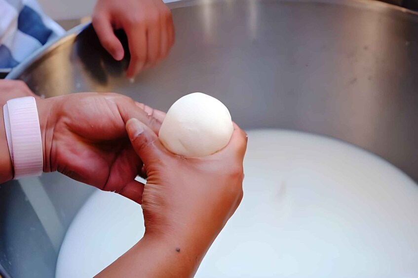 Picture 11 for Activity Amalfi Coast: Farm-tour, Make Mozzarella and Tagliatelle