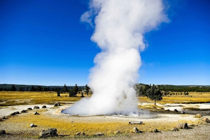 Salt Lake City: Yellowstone 3-Day Small Group Guided Trip