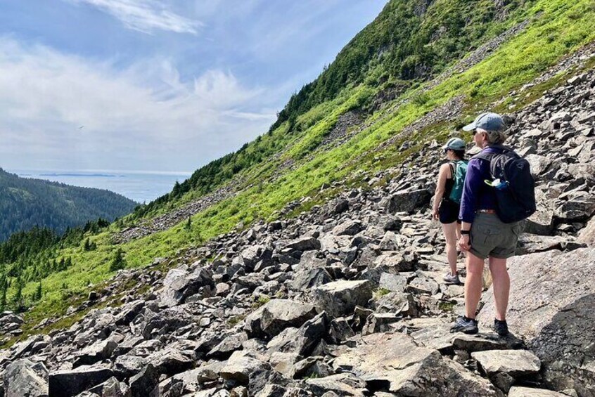 Harbor Moutain and Gavan Hill Trail Guided Hike