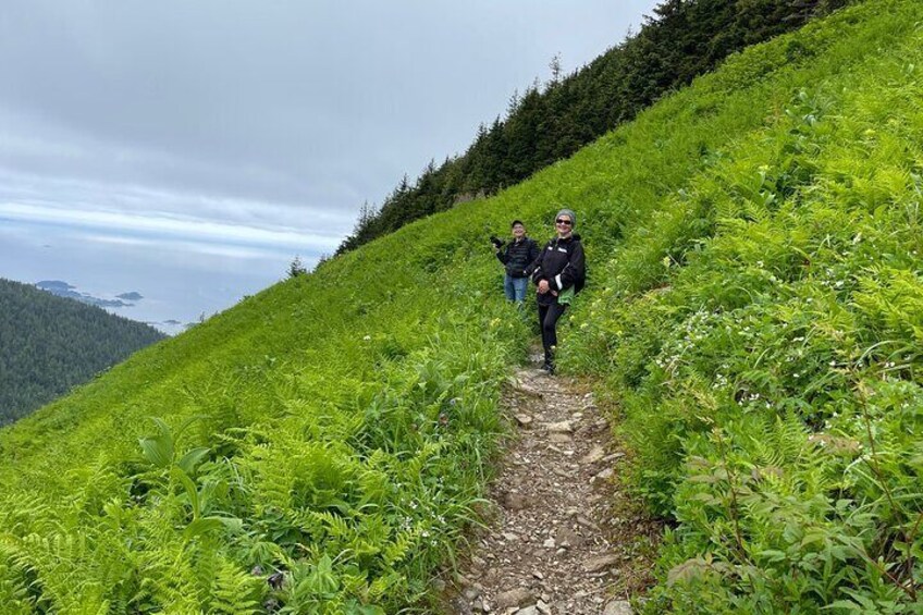 Harbor Moutain and Gavan Hill Trail Guided Hike