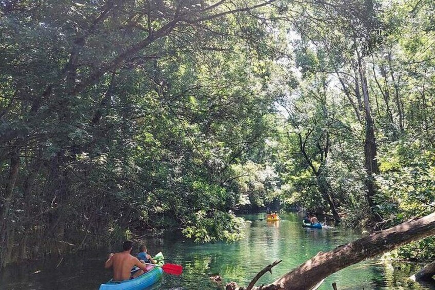 Small Group Canoe Safari on Trebizat River