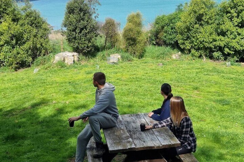 Our picnic spot overlooking Akaroa Harbour