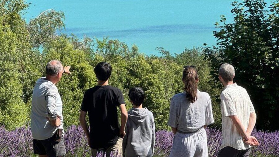 Arataki Conservation - February in the lavender fields