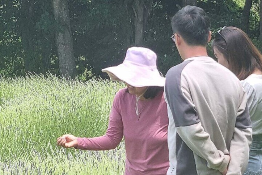our Kaiārahi (guide) in action