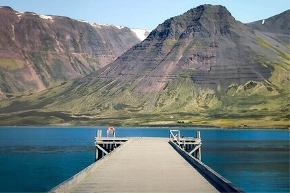 Isafjordur and Westfjords Private Day Tour From Cruise Ship Port