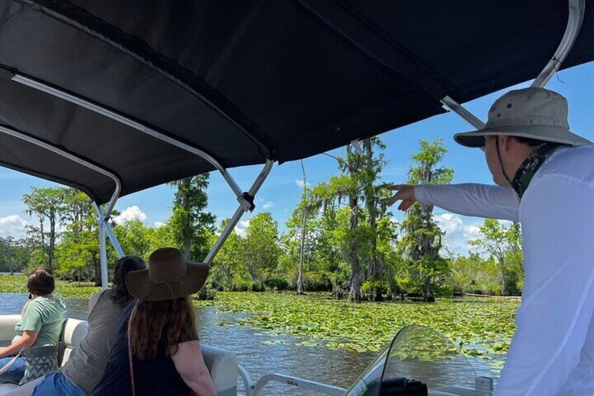 Eco Friendly Swamp Tour with Lunch Stop