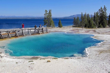 Salt Lake City: Yellowstone 4-day Small Group Tour