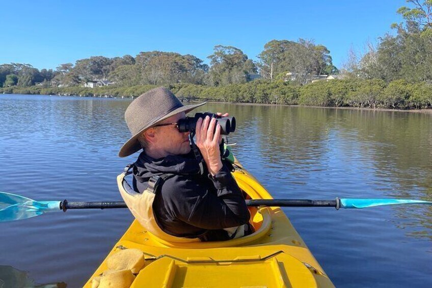 Bird Watching Kayak Tour