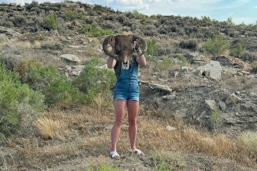 Bone Hunting in Wyoming