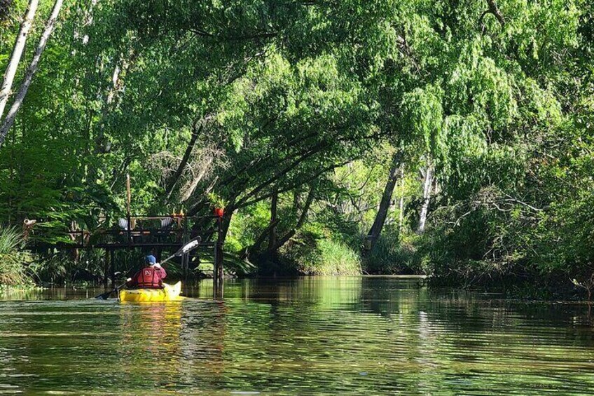 Glide through the quiet streams of the Delta — a perfect moment of peace and connection with nature