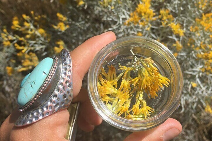 Create Energetic Flower Essences and Reconnect with Nature