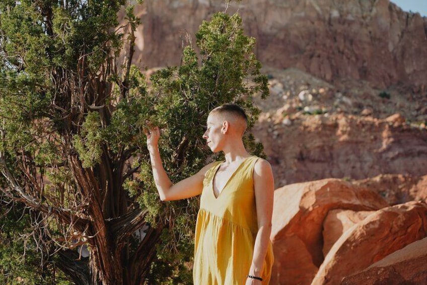 Create Energetic Flower Essences and Reconnect with Nature