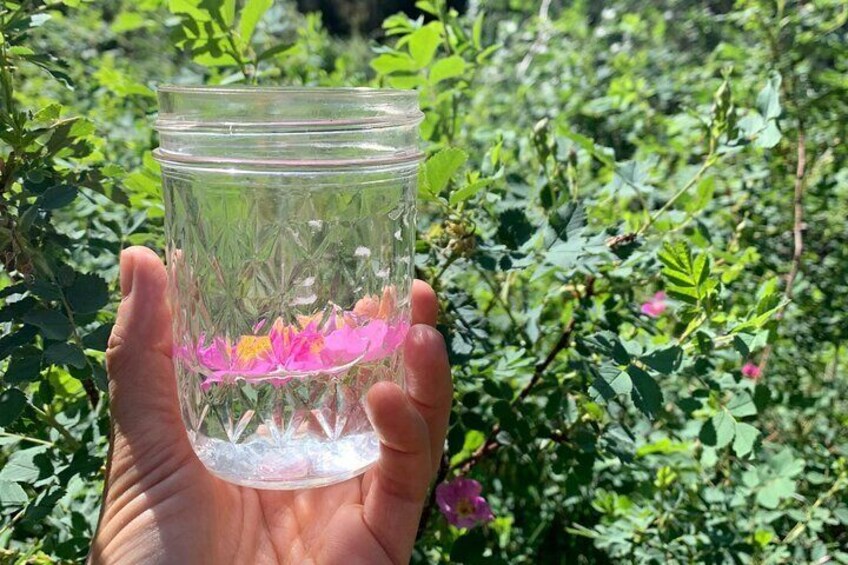 Create Energetic Flower Essences and Reconnect with Nature