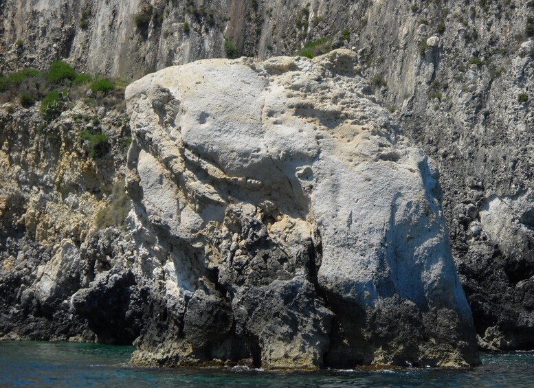Picture 4 for Activity Ortigia Boat Excursions: Papyrus Excursion
