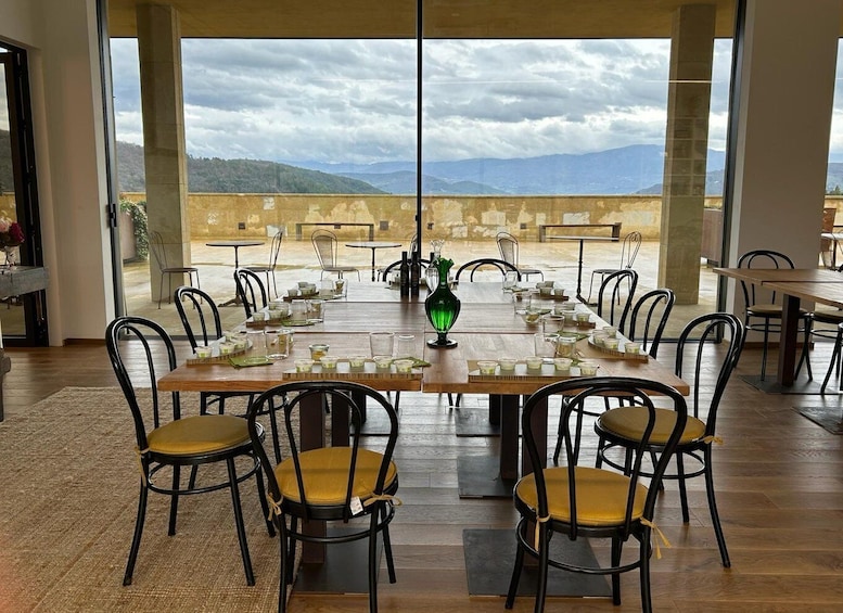 Picture 8 for Activity Fiesole: Olio evo gold experience at Frantoio Buonamici