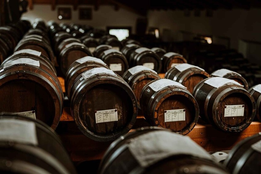 Picture 5 for Activity Modena: guided tour and tasting of superb Balsamic Vinegar