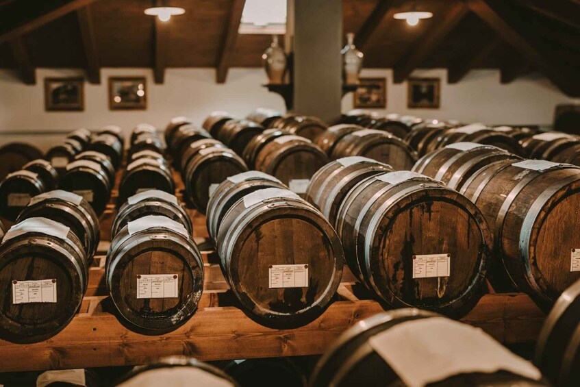 Picture 6 for Activity Modena: guided tour and tasting of superb Balsamic Vinegar