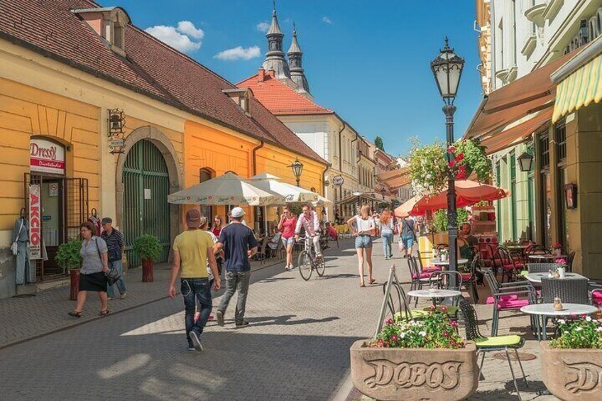 Eger Wine Tasting Day Trip from Budapest
