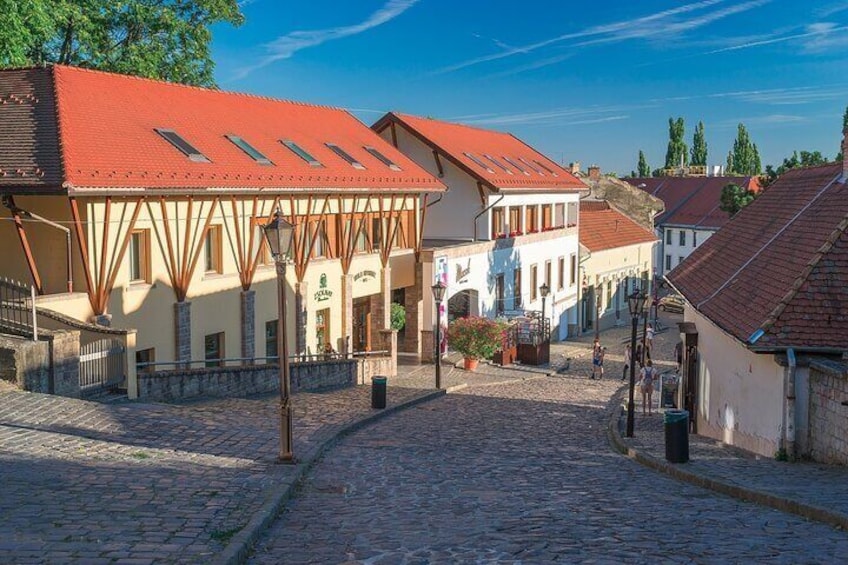 Eger Wine Tasting Day Trip from Budapest