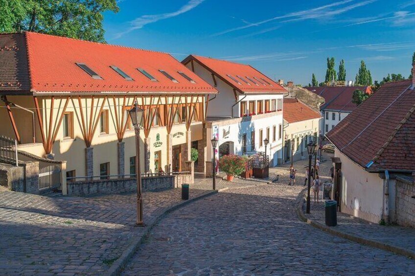 Eger Wine Tasting Day Trip from Budapest