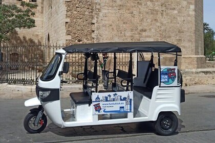Private Tour with Tuktuk in Valencia