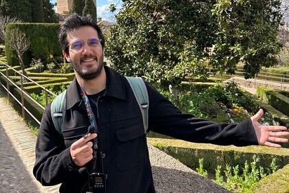 Full Alhambra Tour with Guide in Art with Private Transport