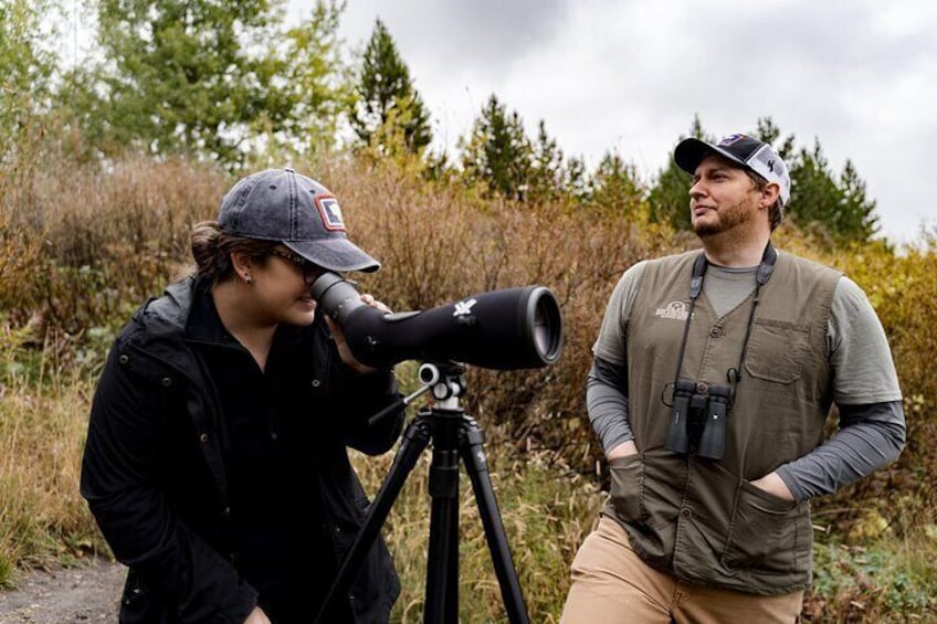 Scanning for wildlife