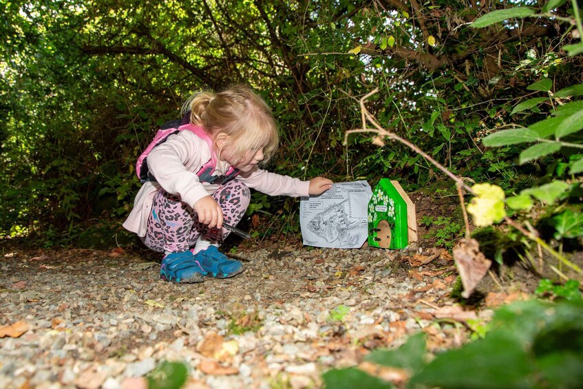 Picture 8 for Activity Wicklow: Greenan Farm, Museums & Maze with Animal Feeding