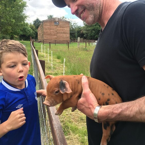 Picture 3 for Activity Wicklow: Greenan Farm, Museums & Maze with Animal Feeding