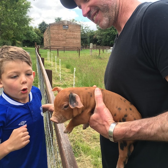 Picture 3 for Activity Wicklow: Greenan Farm, Museums & Maze with Animal Feeding