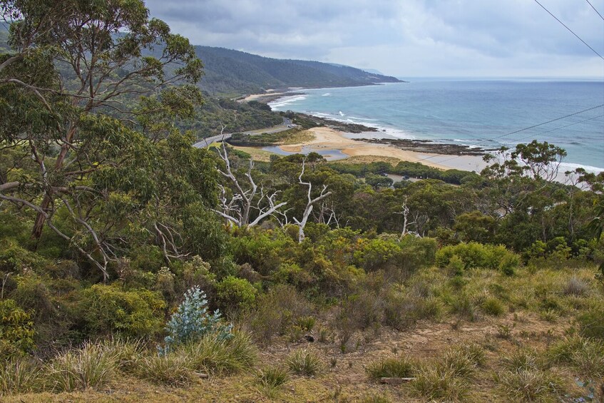 Australia’s Great Ocean Road: Self-Guided Driving Audio Tour