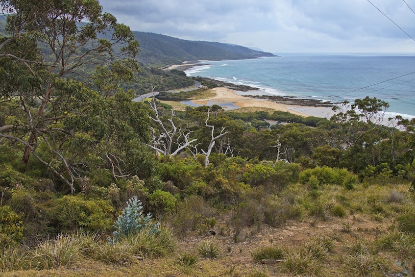 Australia’s Great Ocean Road: Self-Guided Driving Audio Tour