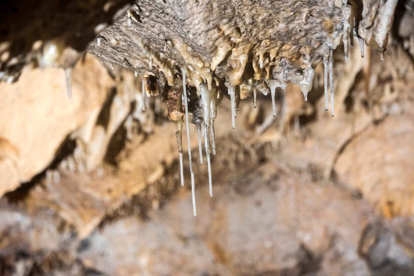 Picture 1 for Activity Menorca : Cova de s'Aigua Guided Visit