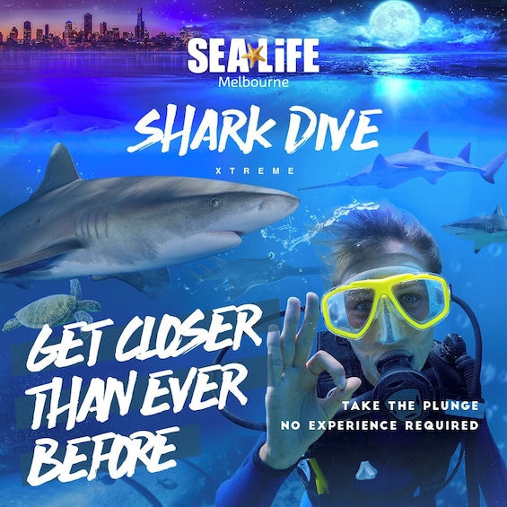 SEA LIFE Melbourne Shark Dive Xtreme