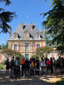 Bordeaux: Château Saint Ahon classic tour