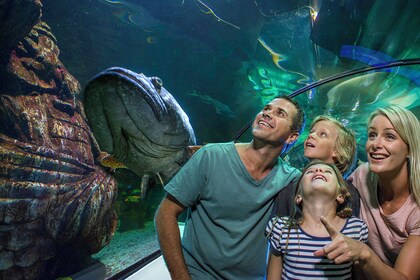 SEA LIFE Sunshine Coast Behind the Scenes