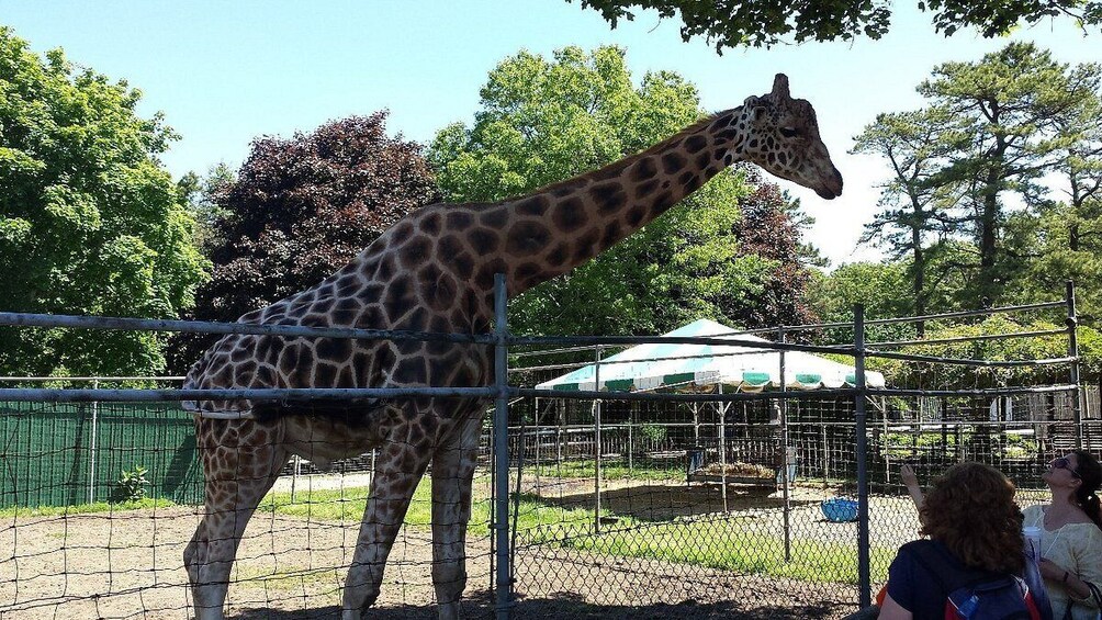 Long Island &Vanderbilt Museum&Planetarium 1-Day Tour From NY