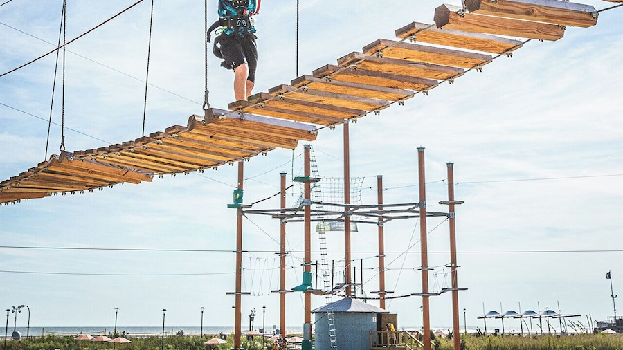 Long Island &WildPlay Jones Beach 1 Day Tour From NY