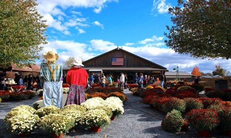 Happy Farm Picking and Playing 1-Day Tour From NY