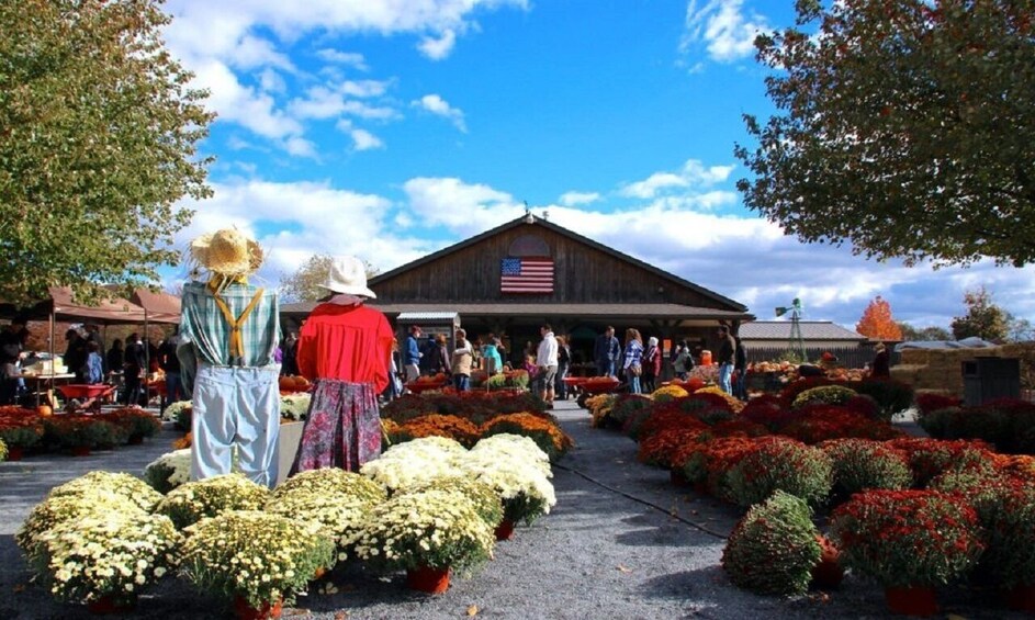 Happy Farm Picking and Playing 1-Day Tour From NY