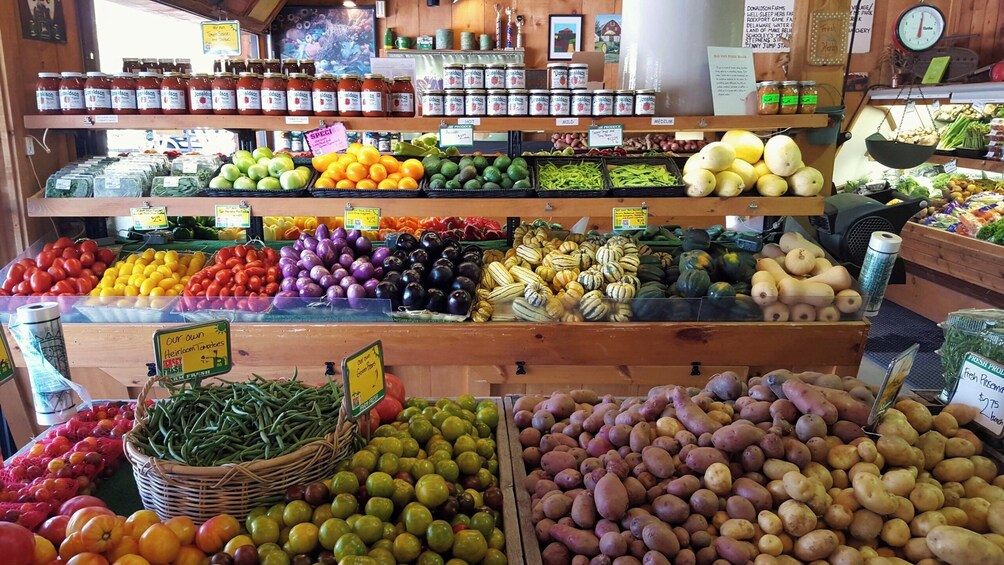 Happy Farm Picking and Playing 1-Day Tour From NY