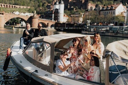 Heidelberg private boat ride with captain 1.5h to 12 guests