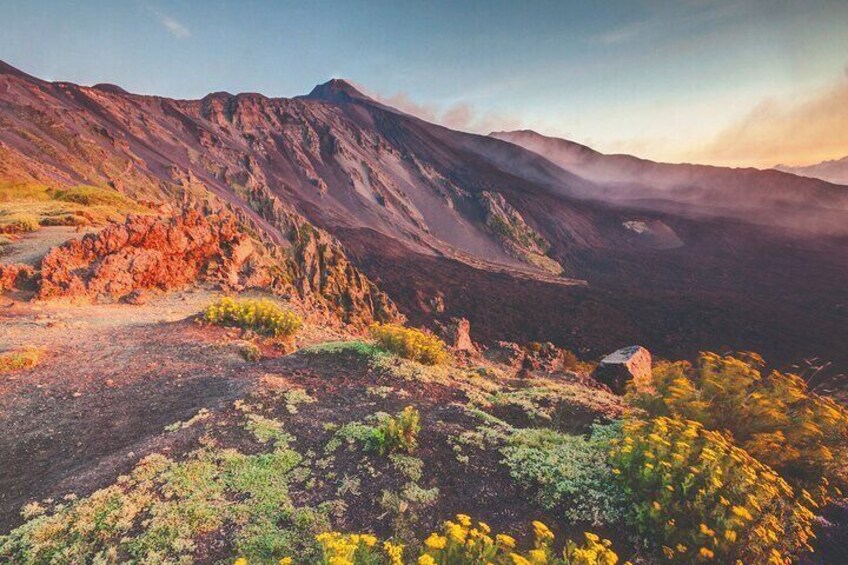 Mount Etna and Catania full day excursion from Malta to Sicily