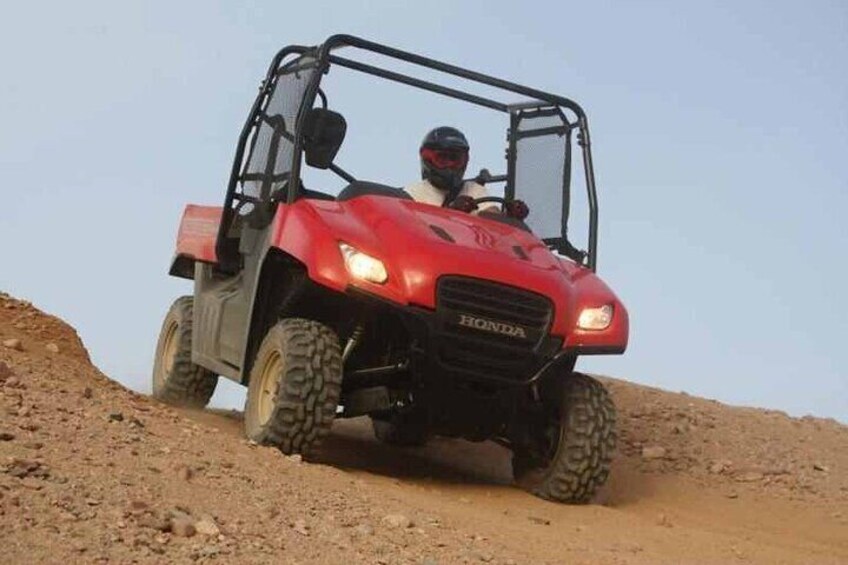 Thrilling Buggy Ride & Camel Safari with transfer – Marsa Alam
