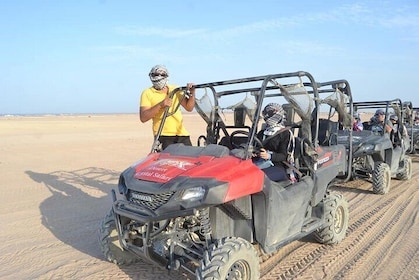 Mitreißende Buggyfahrt & Kamelsafari mit Transfer – Marsa Alam