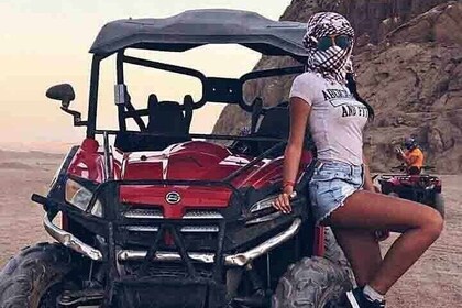 Thrilling Buggy Ride & Camel Safari with transfer – Marsa Alam