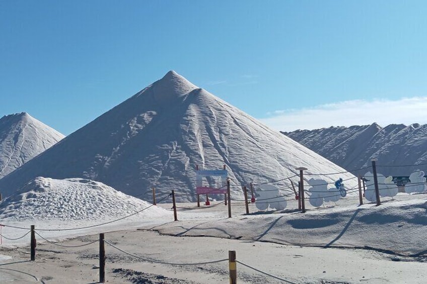 Salinas de Torrevieja